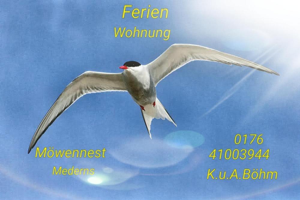 Moewennest *