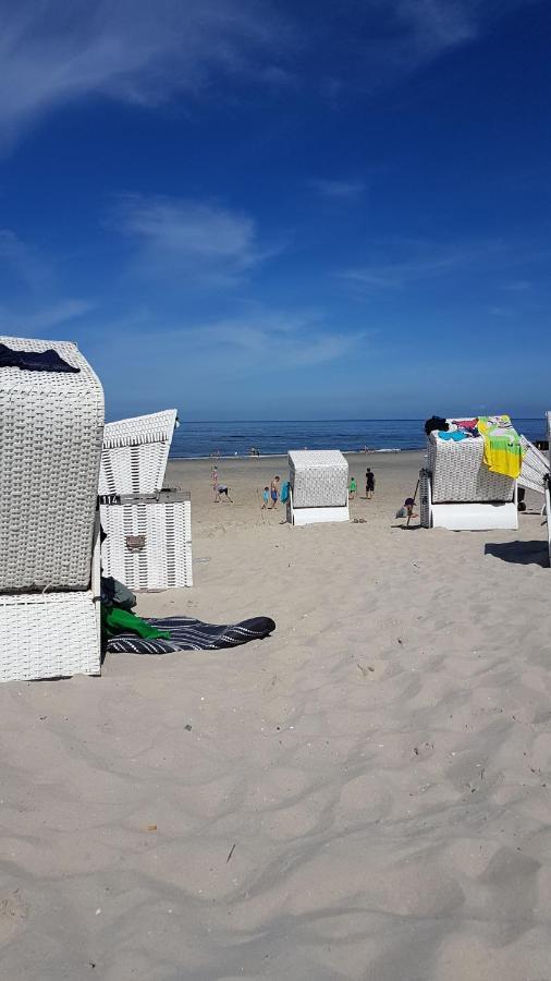 Moewennest Schillig
